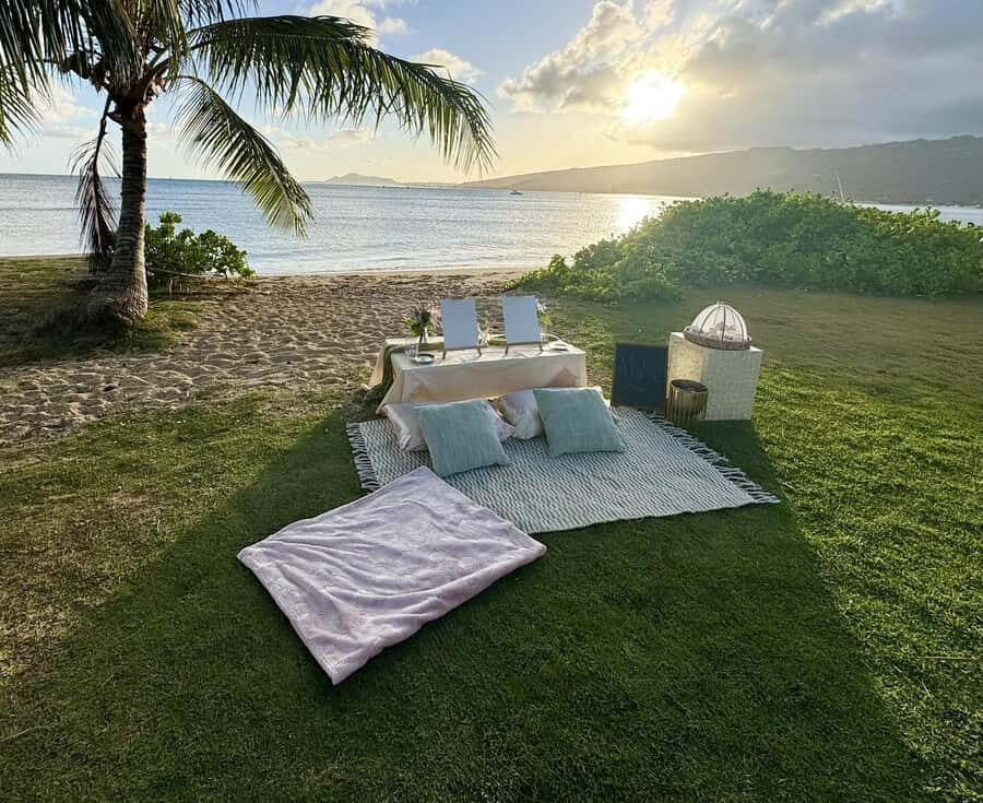 Honolulu: Beachside Luxury Picnic & Paint - Key things I’d plan around