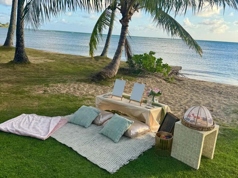 Honolulu: Beachside Luxury Picnic & Paint - A Secluded Honolulu Beach, Not the Waikīkī Stampede