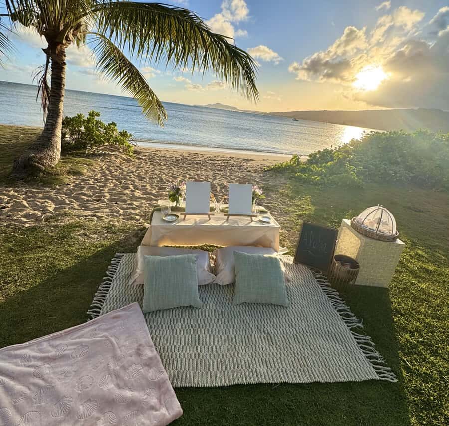 Honolulu: Beachside Luxury Picnic & Paint - Who Should Book This Honolulu Beach Paint-and-Picnic