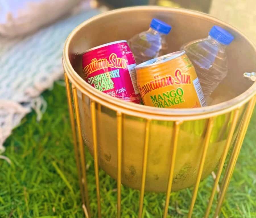 Honolulu: Beachside Luxury Picnic & Paint - Your Private Setup: Pillows, Blankets, and Host-Led Photos
