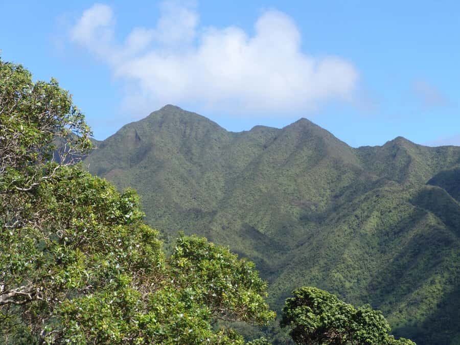 Honolulu: Hawaiian Volcanic Rainforest Hike - Transportation Stops You Can Actually Plan Around