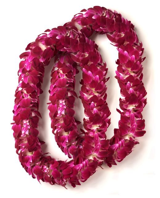 Honolulu Honeymoon Airport Lei Greeting - Who this is best for (and who might prefer a DIY welcome)