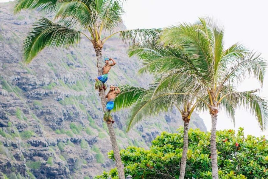 Honolulu: Ka Moana Luau Dinner and Show with Transportation - Farm-to-Table Buffet Details: What’s on the Plate and Why It Matters