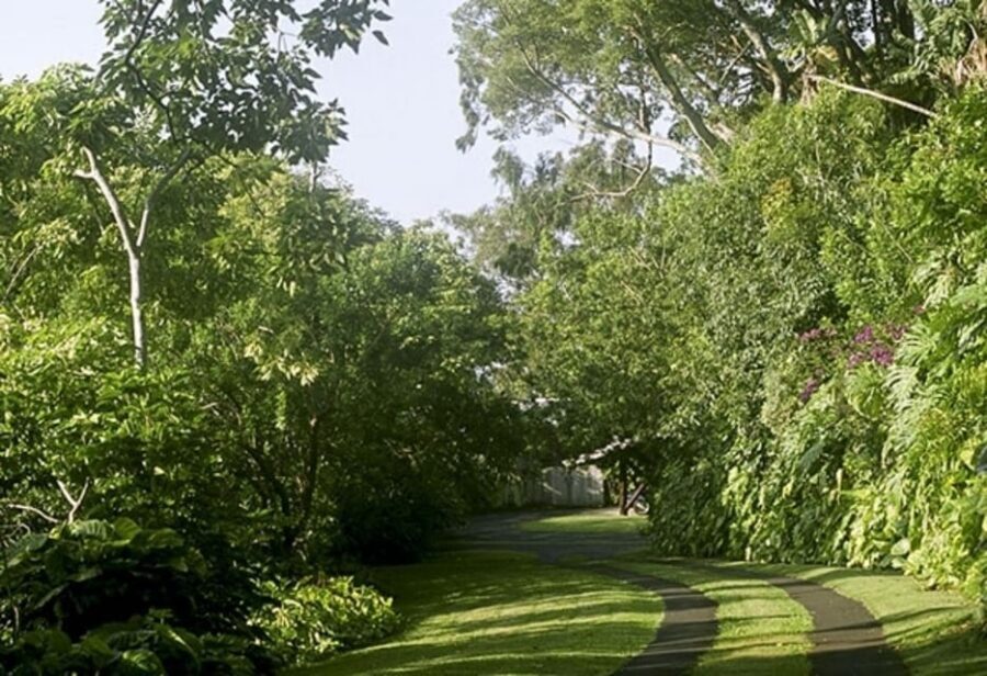 Honolulu: Liljestrand House Architectural Tour - Practical tips that make your visit easier