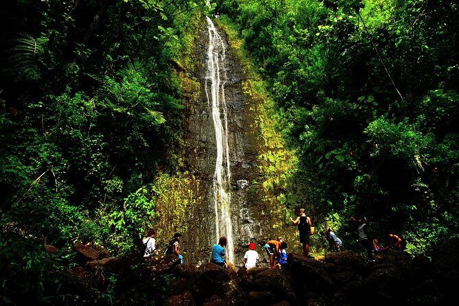 Honolulu Rainforest Self-Guided Audio Tour - Punchbowl Crater and botanical gardens: Honolulu’s “slow walk” chapter