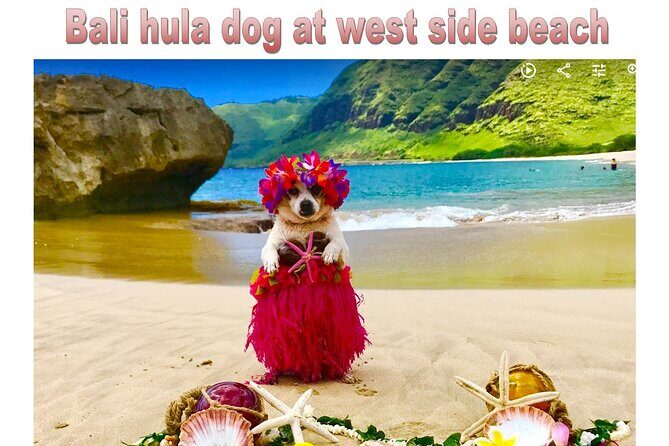 Incredible west side hidden gems -PLEASE CONTACT BEFORE BOOKING - Timing, Weather, and How to Avoid a Frustrating Day