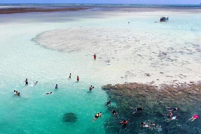 Kaneohe Sandbar Snorkeling Tour - 1st Tour - He’eia Kea Boat Harbor morning flow (so you’re not rushing)