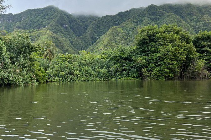 Kayaking Rainforest River on Oahu, Kahana River(Self-Guided Tour) - What You Get On the Water: Gear That Actually Helps