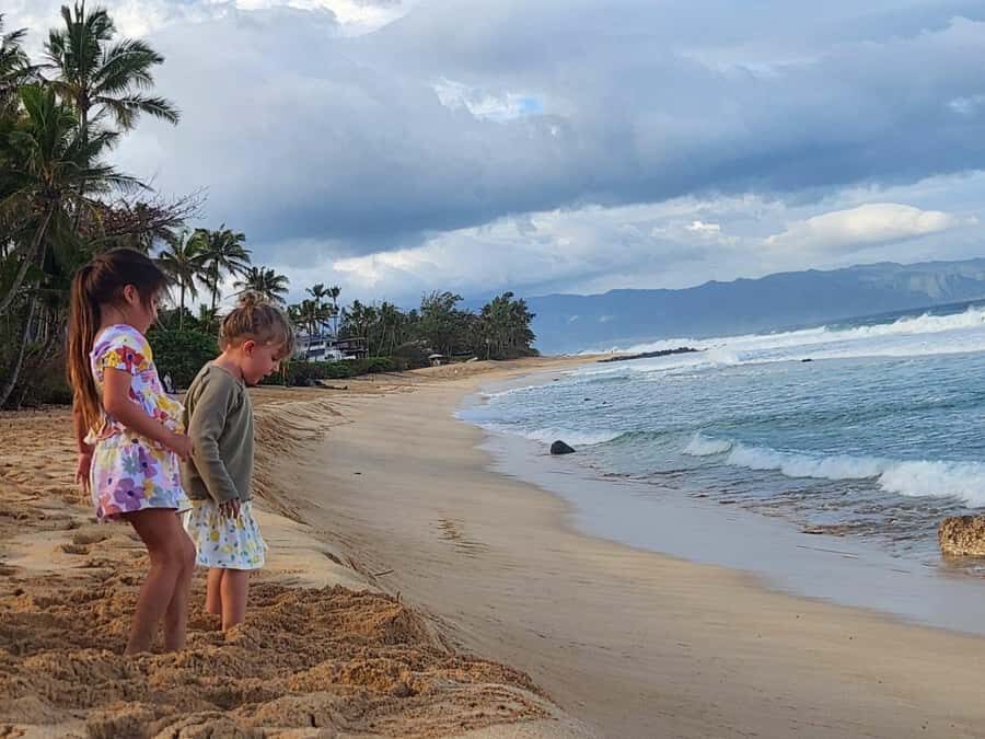 Kevo's Beach Bus - How the North Shore Day Gets Built (Coffee, Beaches, and Turtles)