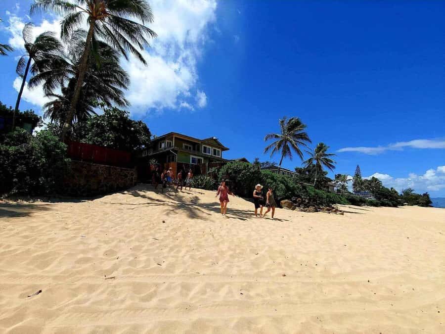 Kevo's Beach Bus - Dole Plantation Pineapples and the Waterfront Park Swim