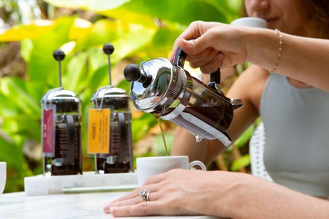 Kona Coffee Tasting: A Farm to Cup Experience - Entering The Coffee LAB: meet, settle in, and start tasting fast