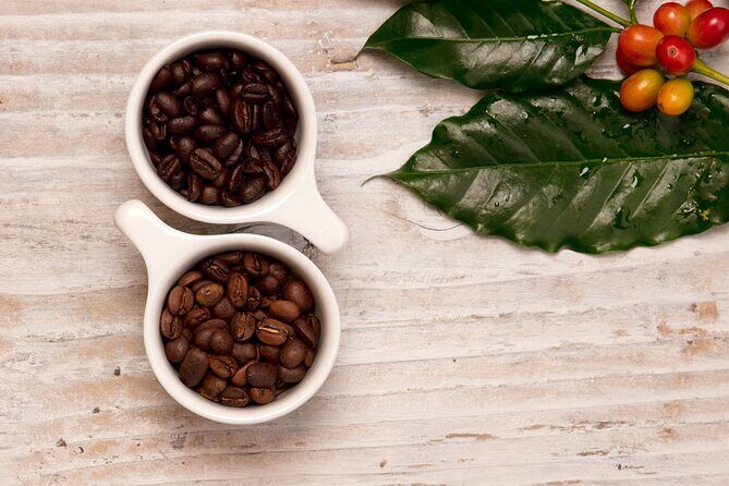Kona Coffee Tasting: A Farm to Cup Experience - Timing, group size, and how long it really feels