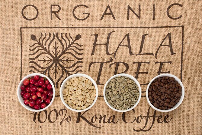 Kona Coffee Tasting: A Farm to Cup Experience - Who should book this Kona Coffee Tasting?