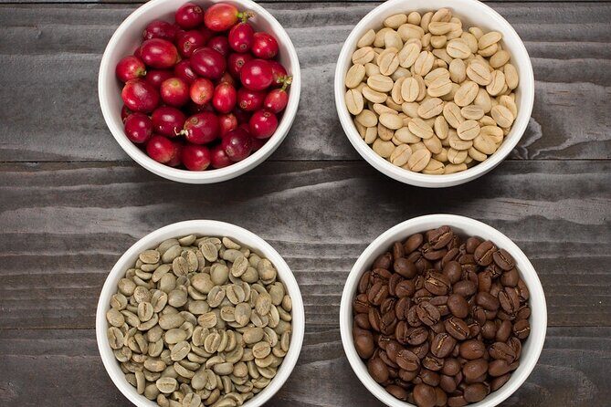 Kona Coffee Tasting: A Farm to Cup Experience - Three 100% Kona coffees from Mauna Loa: what you’ll taste