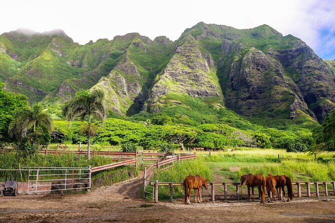 Kualoa Ranch: Novice E-Bike - Key things to know before you go