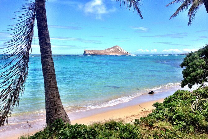 Lanikai to Mokulua islands Stand Up Paddle Board Tour - Getting There: Waikiki pickup and a 9:00 am start