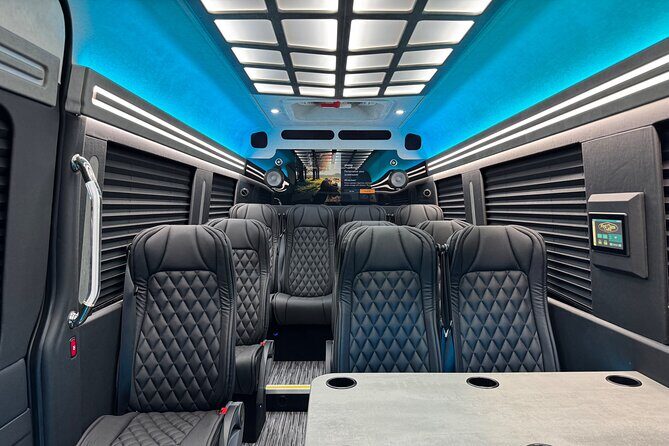 Luxury Sprinter Transfer Airport, Waikiki and Cruise Terminal - Add-Ons That Make Sense: Lei Greeting, Name-Sign Meet, and Car Seats