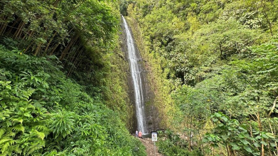 Manoa Falls eBike to Hike - The eBike-to-Hike Transition: Why This Format Works So Well