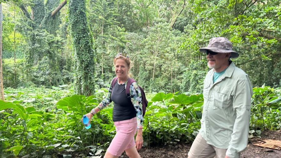 Manoa Falls eBike to Hike - Into Manoa Valley: Rainforest Microclimates and Ancient Hawaiian Context