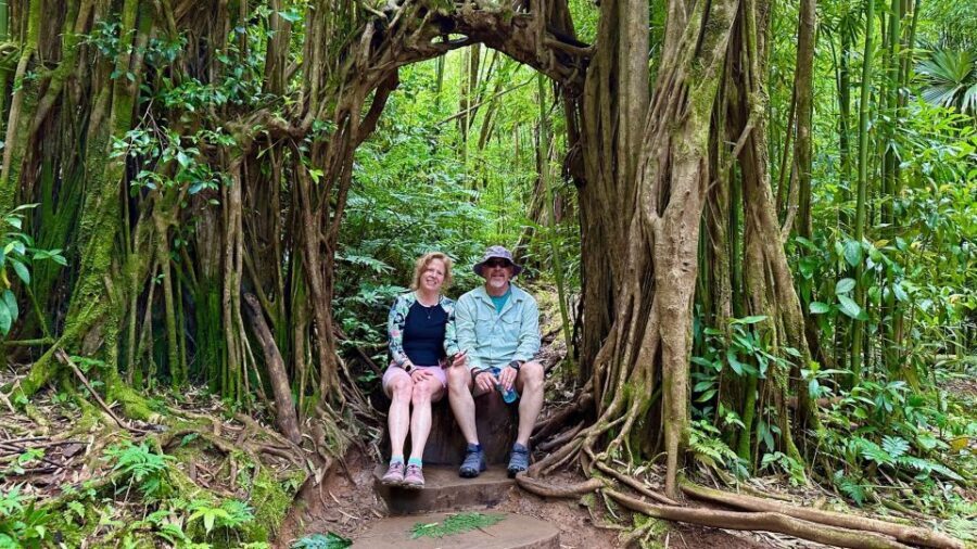 Manoa Falls eBike to Hike - Honolulu by eBike: City Views, a Friendly Climb, and a Comfortable Pace