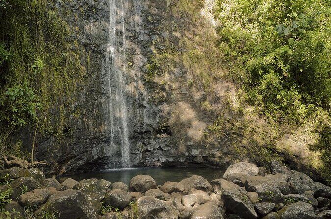 Manoa Falls-Electric Bike to Hike Experience Local meal included - Key highlights you’ll feel right away