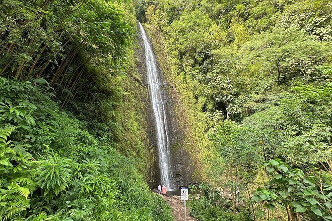 Manoa Falls-Electric Bike to Hike Experience Local meal included - Kapiolani Park and the Ala Wai Canal: urban Hawaii with stories