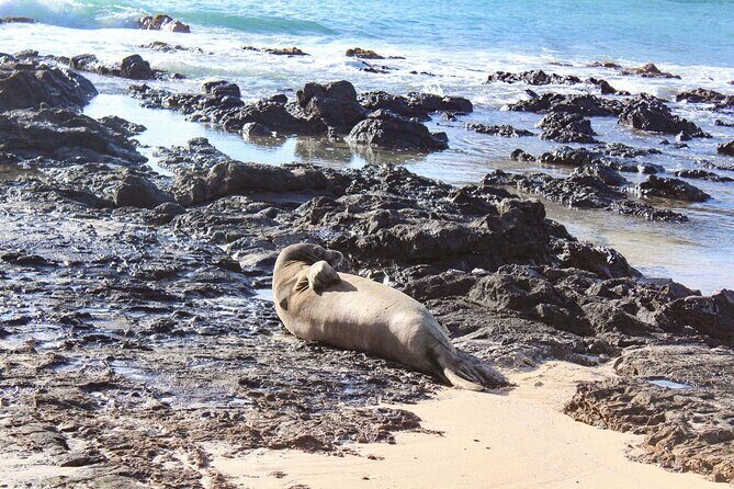 Mokulua Islands Self-Guided Kayak Adventure - Self-guided vs guided-style add-ons: when you may want extra help