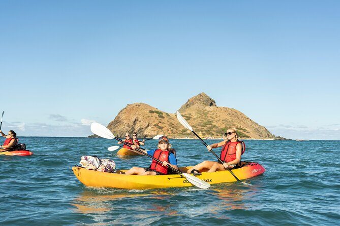 Mokulua Islands Self-Guided Kayak Adventure - The Paddle Out: green sea turtles and reef protection