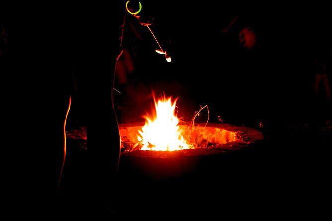 Night Zipline: 3 Zipline Adrenaline Adventure - Safety, Guides, and the Kind of Night Experience This Is