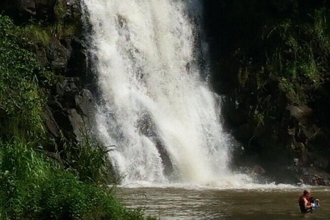 North Shore day,Waterfalls and Turtles Tour - Turtle-Spotting Beach Hours: What “Searching for Turtles” Is Like