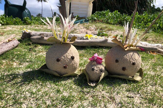 North Shore day,Waterfalls and Turtles Tour - Who Should Book This North Shore Day?