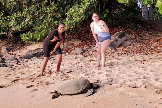 Northshore ocean adventure and circle islandJeep Tour- Guaranteed to see turtles - Laie Point State Wayside Park to Kahuku: rocky coastline, birds, cliff-diving vibes, and turtles