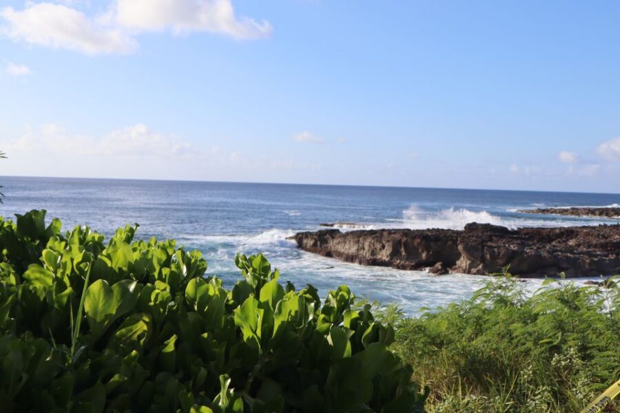 Oahu: Active Circle Island Tour - Should You Book This Active Circle Island Tour?