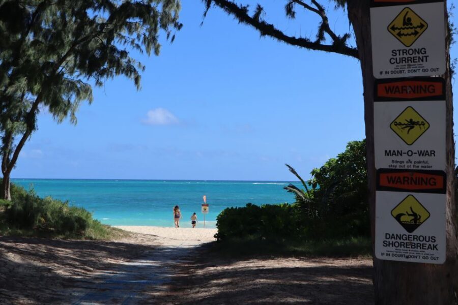 Oahu: Active Circle Island Tour - Sharks Cove Snorkeling: The Main Event