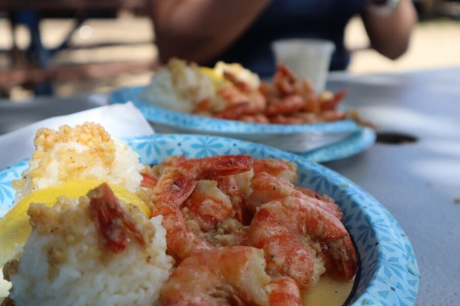Oahu: Active Circle Island Tour - Optional Manoa Waterfall Hike: For Extra Energy