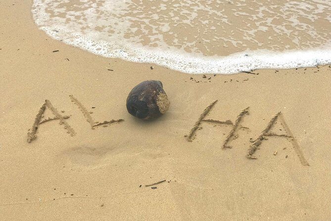 Oahu Customizable Private Community Service Voluntourism Offer - Kualoa, Chinamans Hat photos, and the “get a shot, keep moving” style