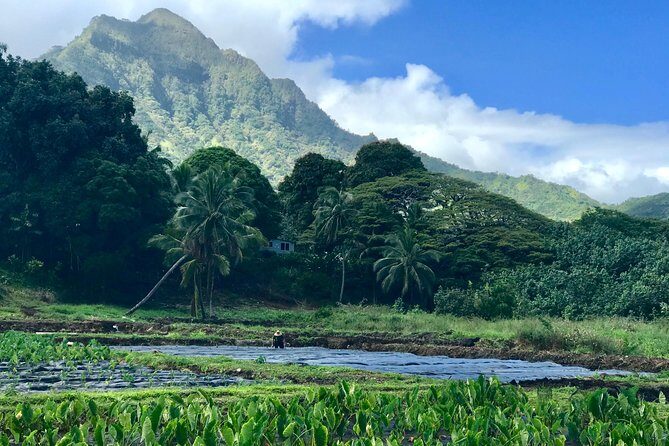 Oahu Customizable Private Community Service Voluntourism Offer - Choosing half-day vs full-day vs long-day (and what it really changes)