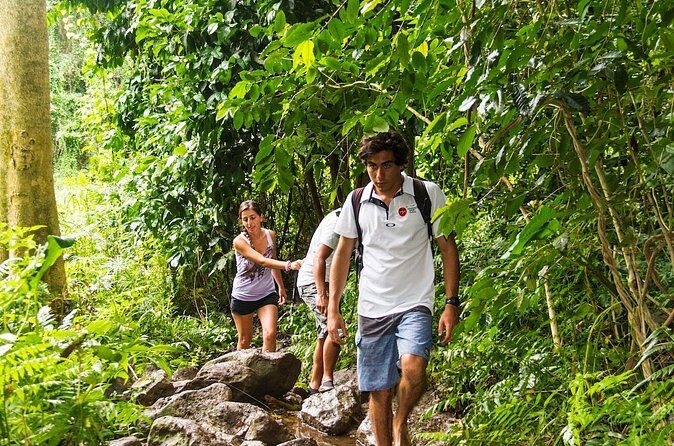 Oahu friendly hiking experience - Pace, Customization, and What to Ask Your Guide Before You Go