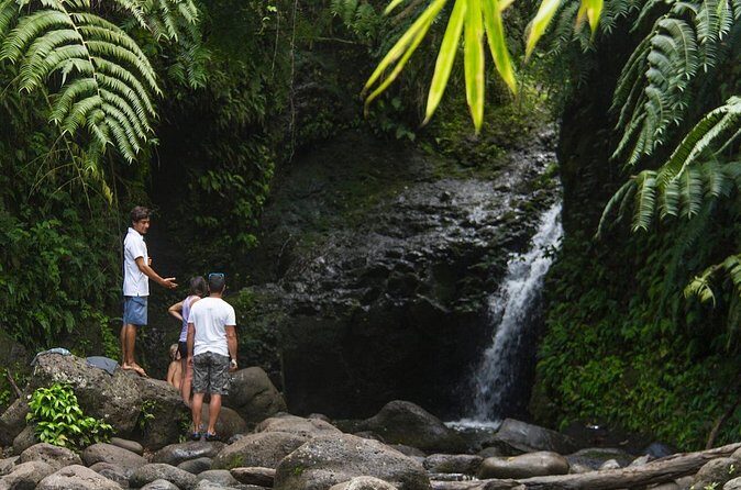 Oahu friendly hiking experience - Price and Value: Is $400 Worth It?