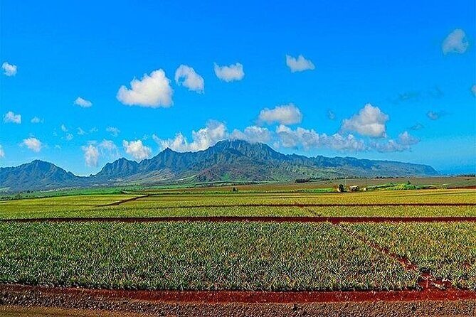 Oahu Grand Circle Island Experience Departing from the Big Island - Diamond Head + Amelia Earhart: views first, crater second
