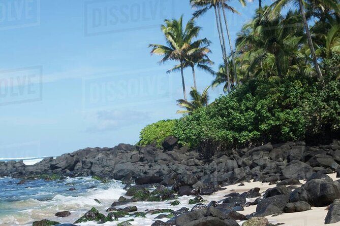OAHU GRAND CIRCLE Waimea Waterfall, Turtle Beach, North Shore. - Turtle Bay Beach: quick turtle spotting time on the sand