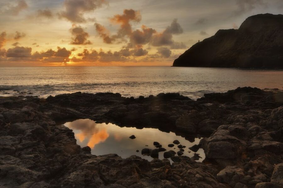 Oahu: Half-Day Sunrise Semi-private Tour from Waikiki - Temples, bamboo forests, and the one-minute waterfall walk