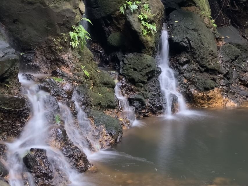 Oahu: Half-Day Sunrise Semi-private Tour from Waikiki - What to bring for a smooth early morning