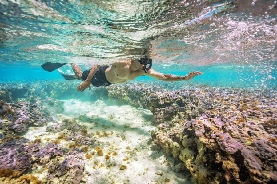 Oahu : Hanauma Bay Reservation+Equipment Rental - Key highlights that matter before you book