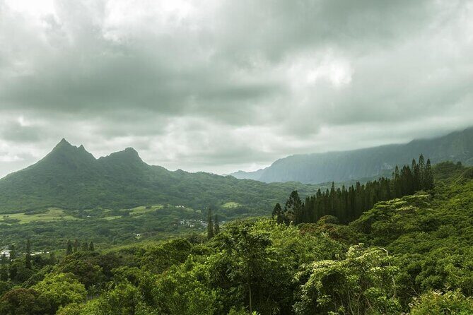 O‘ahu Highlights Private Guided Tour: Landmarks & Architecture - Key reasons this O‘ahu tour works