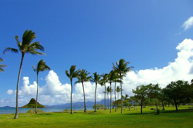 O‘ahu Highlights Private Guided Tour: Landmarks & Architecture - A 4-hour private morning across O‘ahu’s icons