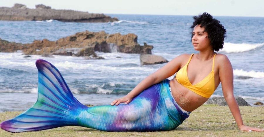 Oahu: Honolulu Mermaid Snorkel Adventure with Videos - Key Highlights You’ll Actually Care About