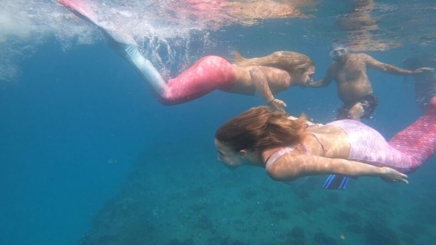 Oahu: Honolulu Mermaid Snorkel Adventure with Videos - Price and Value: Why $99 Makes Sense Here