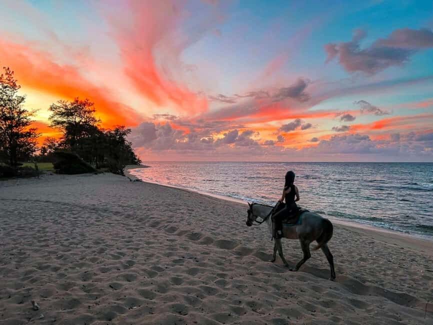 Oahu: Horseback Riding Tour on the North Shore - How the 1.5-hour tour plan works on the ground