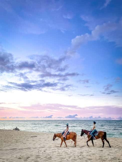 Oahu: Horseback Riding Tour on the North Shore - Meet the stables and get matched to your horse